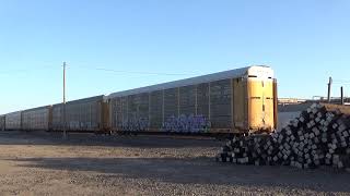 Railfanning Union Pacific at Fairbury Nebraska April 2021 [upl. by Ilera]