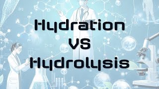 Hydration and Hydrolysis [upl. by Vittoria]