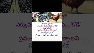 motivation quotes telugu inspirationalquotes youtubeshorts [upl. by Oludoet]