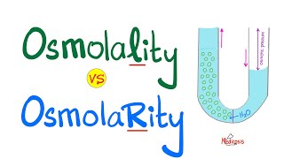 Osmolality vs Osmolarity with a mnemonic  Physiology and Chemistry [upl. by Nuhsed241]