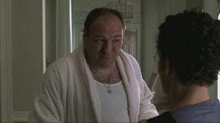 Tony Youre A Ditsoon Charcoal Briquette A Mulignan  The Sopranos HD [upl. by Dedra]