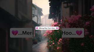 Rahat Fateh Ali Khan OST song  Meray Pas Tum ho 💔youtubeshorts ayezakhan humayunsaeed [upl. by Otokam726]