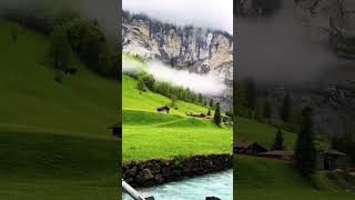 nature switzerlands travel waterfall [upl. by Annoet84]