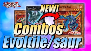 EVOLUTION CONTINUES  EVOLTILE EVOLSAUR OGDOADIC COMBOS  POST DUELIST NEXUS  YuGiOh [upl. by Petite]