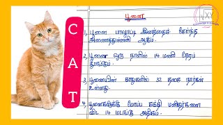 பூனை பற்றி பத்து வரிகளில் தமிழ் கட்டுரை  10 line essay on cat in Tamil  Tamil Essay writing ✍️ [upl. by Sorenson805]