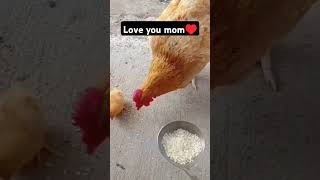 Love you mom♥️ mother reels love omg [upl. by Asyla645]