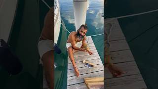 How to Get a Conch Out of Its Shell shorts short sailingadventures [upl. by Crescentia]