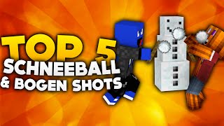 Minecraft  Top 5 Schneeball amp Bogen Shots  DieBuddiesZocken [upl. by Freddie86]