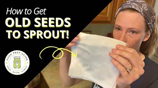 Germinate Old Seeds with This Simple Trick [upl. by Socher]