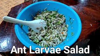 Making Ant Larvae salad and fish head soup Laos traditional food for dinner [upl. by Eniffit600]