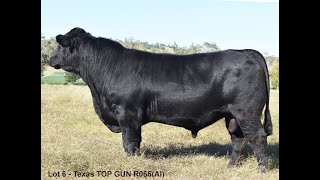 Texas TOP GUN R66  Lot 6 [upl. by Thirion]