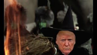 IM MELTING  Wicked Trump Witch [upl. by Baalbeer]