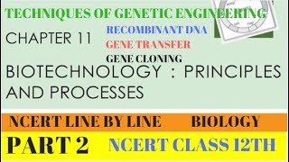 Biotechnology  Principles amp Processes 04  3 Processes of Recombinant DNA Technology  12th  NEET [upl. by Ingar483]