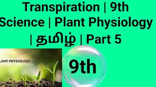 Transpiration  9th Science  Plant physiology  Tamil [upl. by Hirschfeld]