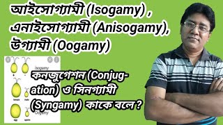 What is Isogamy Anisogamy Oogamy  conjugation amp Syngamy আইসোগ্যামী এনাইসোগ্যামী উগ্যামী কনজুগেশন [upl. by Annaehs572]