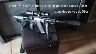 French AR 15 556223rem  Lebel VCD15  Verney Carron présentation [upl. by Jed]