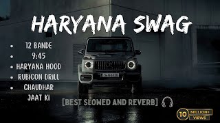 Haryana Swag🔥🥶  Best Slowed and Reverb Songs   Top Attitude Songs🔥 [upl. by Kunkle]