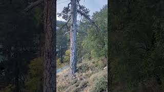 Troodos Mountains Cyprus troodos mountains mountain [upl. by Ynnot25]