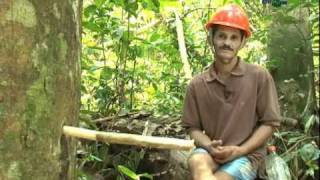 Produção sustentável de oléo de copaíba  Dia de Campo na TV [upl. by Ardenia487]