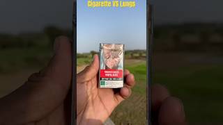 Cigarette vs lungs Experiment shorts facts ytshorts cigarette [upl. by Nor]