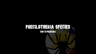 How to Pronounce Poecilotheria Ornata [upl. by Lowenstein]