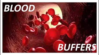 BLOOD BUFFERS Know the 3 MOST important ONES❤️❤️❤️ [upl. by Specht]