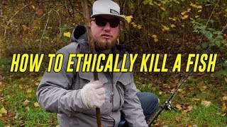 How To KILL A Fish  FASTEST amp Most HUMANE WAY Bonus Gut amp Fillet HOW TO [upl. by Land132]