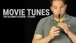 Tin Whistle Lesson  The Blarney Pilgrim Titanic [upl. by Graff]