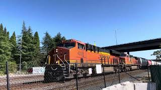 8312024 BNSF Manifest train leaving Seattle WA to Everett WA with a Homeless Person on the track [upl. by Yenar55]