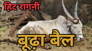 बूढ़ा बैल  Aaya Budhapa Kadwa Kar Ke Ragni  Pandit LakhmiChand Ki Hit Ragni [upl. by Ardnasxela]