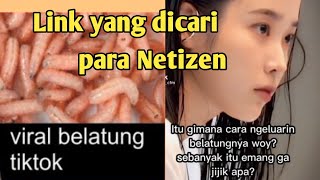 Link video viral belatung di tiktok [upl. by Nylsoj]