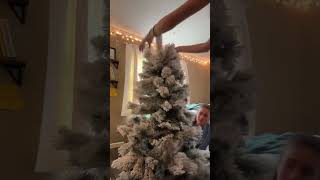 Tis the Season for…christmas trees 🌲 trending fypシ゚viral christmas [upl. by Mirelle]