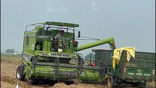 ਅੱਜ ਝੋਨੇ ਦੀ ਕਟਾਈ ਦਾ ਕੰਮ ਸ਼ੁਰੂ ਕੀਤਾ ਖੇਤੀ farming kartarcombine ਝੋਨਾ [upl. by Berty]