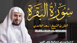 القارئ الشيخ  سعد الغامدي سورة البقرة  Sourat Albaqarah Sheikh SAAD ALGHAMDI [upl. by Teresa]