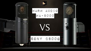 Warm Audio WA8000 VS Sony C800G  MICROPHONE SHOOT OUT [upl. by Suzie]