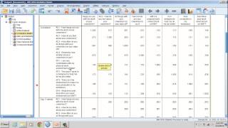 Convergent and Discriminant Validity Correlational Matrix Approach [upl. by Dnumsed]