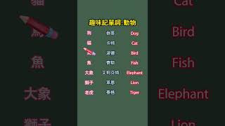 趣味記單詞動物 英语 英語學習 搞笑 英语学习 分享 英語 [upl. by Yak]