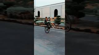 Cycle wheeling 46 king 👑 Ducky Bhai  vlog [upl. by Ikim]