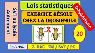 Exercice résolu dihybridisme chez la drosophile linkage complet et incomplet  carte factorielle [upl. by Lael]