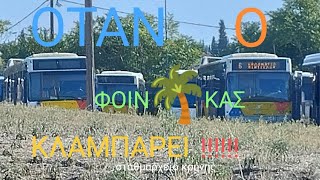 ΟΤΑΝ Ο ΦΟΙΝΙΚΑΣ ΚΛΑΜΠΑΡΕΙ  💙💛❤️ [upl. by Anwahsiek]