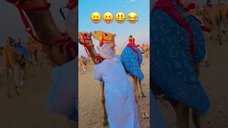 Dubai main rasing ka kam rash chik kro mashallah kitna hai wah 😩 ye hai camel ka kam dubai main aao [upl. by Annaig]