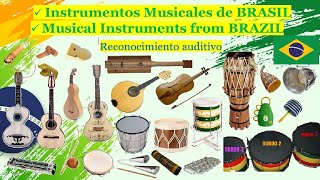 🌎 Instrumentos Musicales de BRASIL Instruments Musical from BRAZIL [upl. by Lihcox]