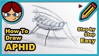 ► How to draw an APHID step by step easy ▬ Como dibujar un PULGÓN facil paso a paso [upl. by Kinch]