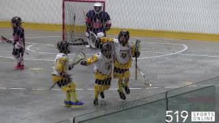 Under 9 Lacrosse  Guelph Regals vs KitchenerWaterloo Kodiaks [upl. by Airamalegna701]