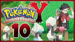 POKÉMON Y Part 10 Mannshohes Gras [upl. by Lenora]