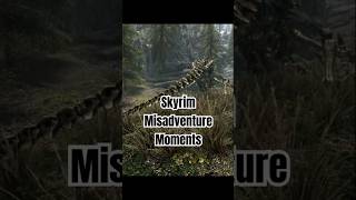 Some subjectively funny bits out of my latest video skyrim videogames gaming streamer [upl. by Carlin]