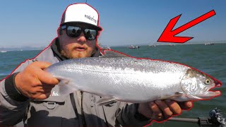 Buoy 10 Astoria Salmon Fishing BEATDOWN Catch amp Cook [upl. by Yanahs]