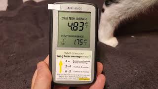 Review demo of Airthings Corentium EasytoUse Home Radon Detector w my cats [upl. by Bray]