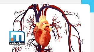 Damages To Heart Valves Doctor 2PM Mathrubhumi News [upl. by Avat]