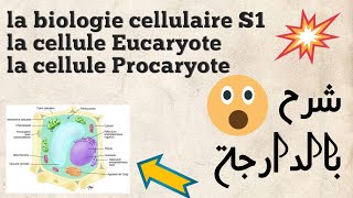 Biologie Cellulaire  la cellule Eucaryote et la cellule Procaryote  شرح بالدارجة [upl. by Garwood746]